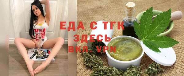 spice Богородицк