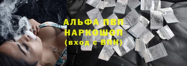 прущие грибы Белоозёрский