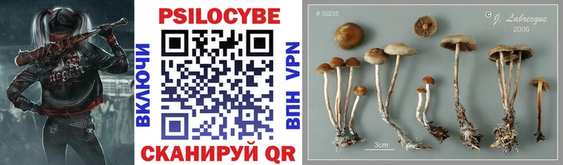 Псилоцибиновые грибы Magic Shrooms  дарнет шоп  Облучье 